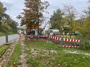 Ein Bild, das draußen, Baum, Himmel, Gras enthält.
KI-generierte Inhalte können fehlerhaft sein.
